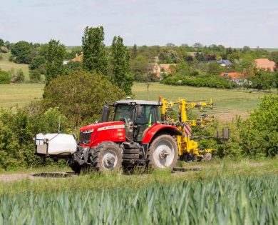 19l5424