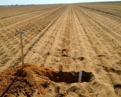 2australian farmers get the terraland to experience 2