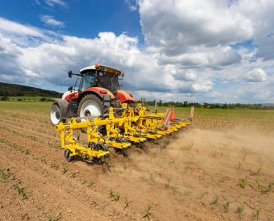 The machine equipment includes protective plant discs or rear levellers that pull weeds out