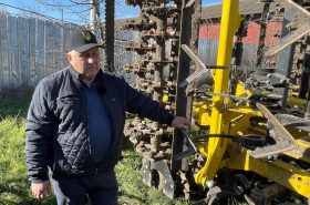 Посів пшениці по соняшнику – готувати ґрунт чи ні? Досвід аграрія