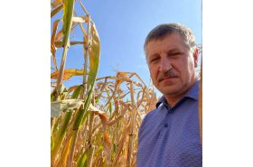 Ідеальне передпосівне рішення від BEDNAR