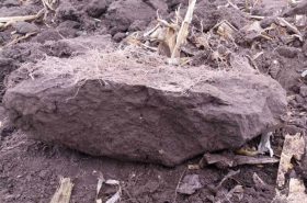 Який основний обробіток обрати українському аграрію в нинішніх умовах?