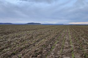 Francie, region Meuse
