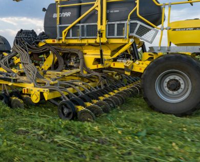 close up photo of direct seeding with directo no