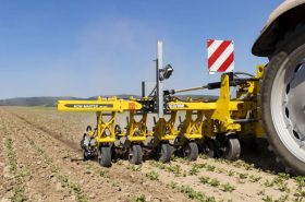 Universal Cultivator ROW MASTER RN at AGROmashEXPO