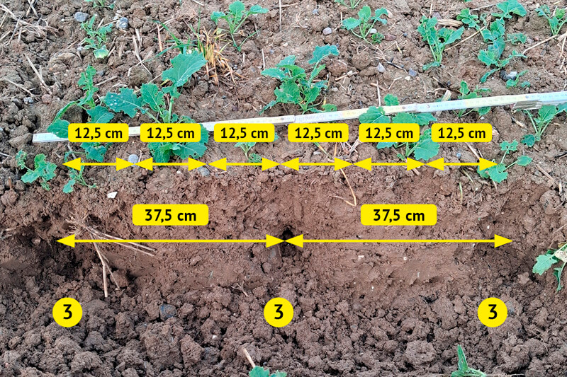3 – оброблена смуга