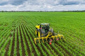 row-master-cultivator-in-action