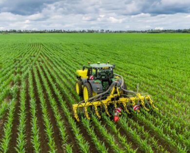 row-master-cultivator-in-action