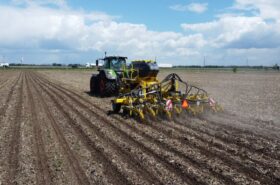 bednar-strip-till-formuvannya-smyg-shyroke-pole