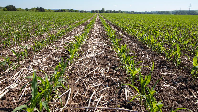 Jaké jsou přínosy technologie strip-till?