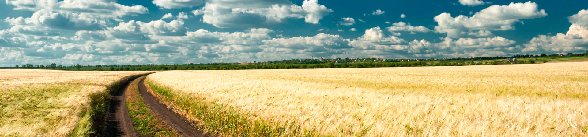 Засяване с торене