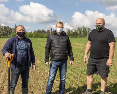 koreny ksichty nahledove foto