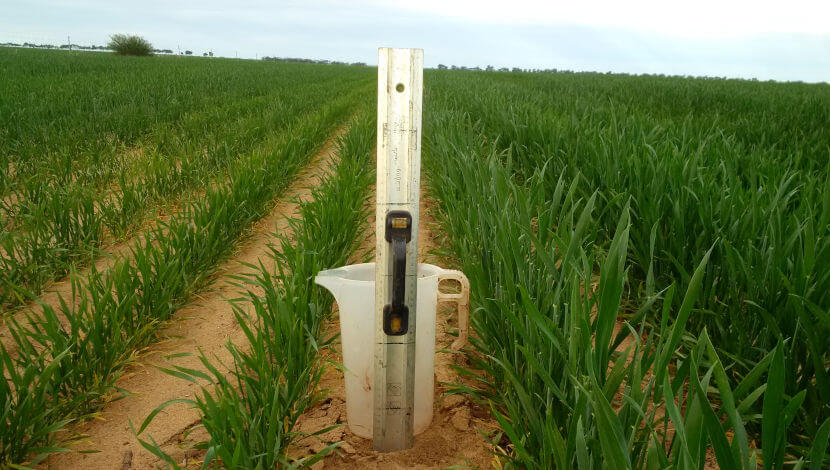 Agronomicke-know-how-main
