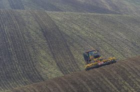  TERRASTRIP ZN